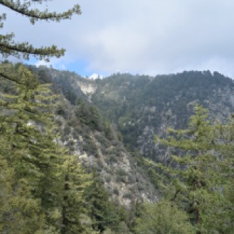 Mount Wilson vu depuis le Winter Creek Trail